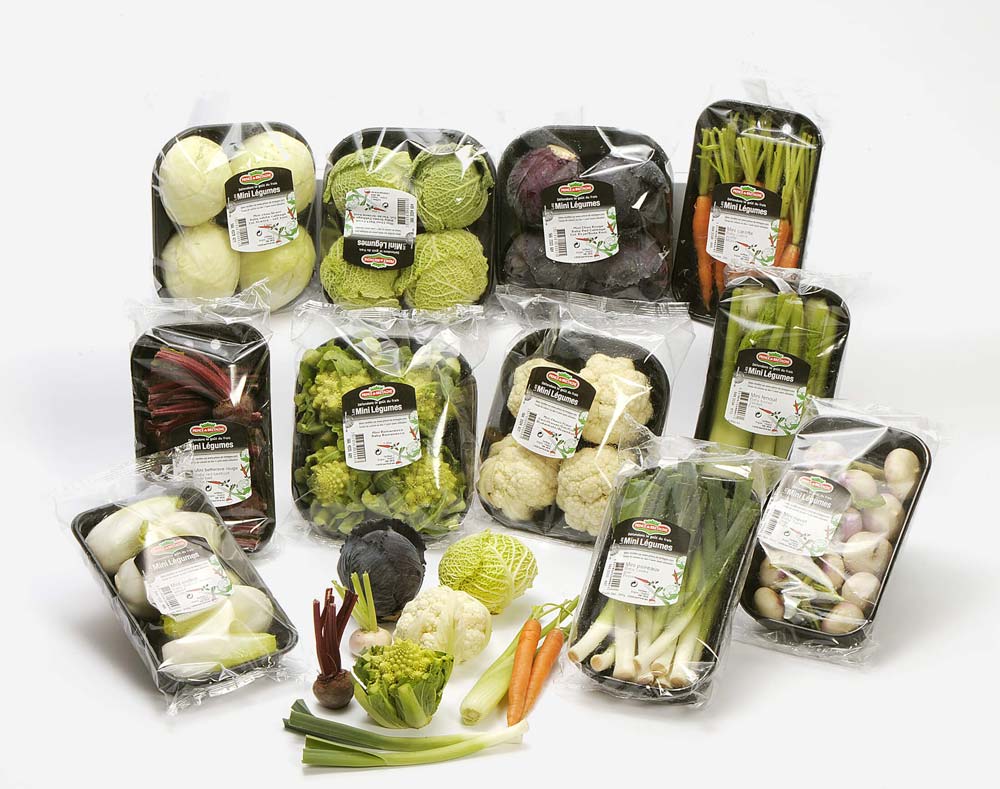 Vegetable packaging طرح توجیهی بسته بندی میوه و سبزیجات (خشک، تازه و خرد شده)