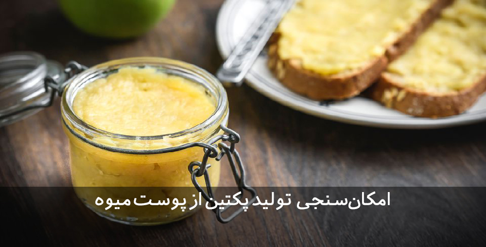 طرح توجیهی پکتین