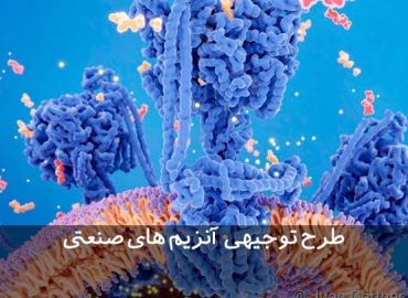 طرح توجیهی تولید آنزیم های صنعتی