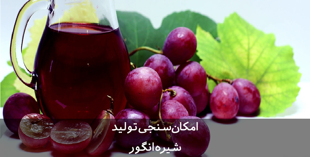 طرح توجیهی شیره انگور