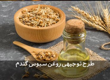 طرح توجیهی روغن سبوس گندم