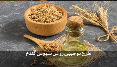 طرح توجیهی روغن سبوس گندم