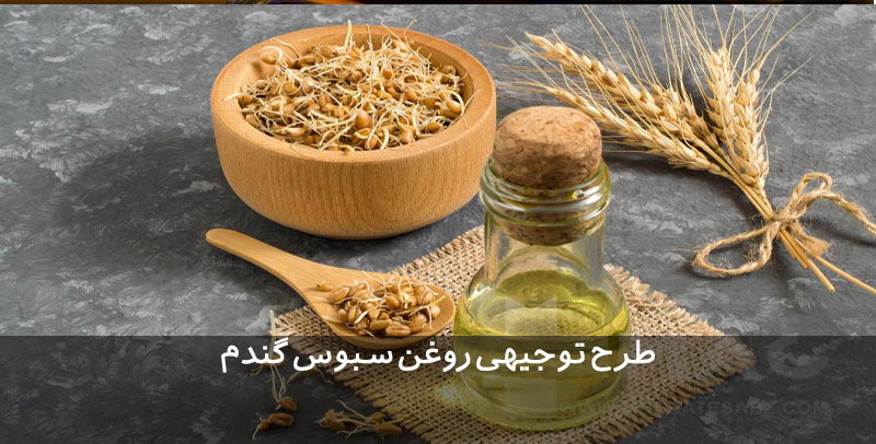 طرح توجیهی روغن سبوس گندم طرح توجیهی روغن سبوس گندم