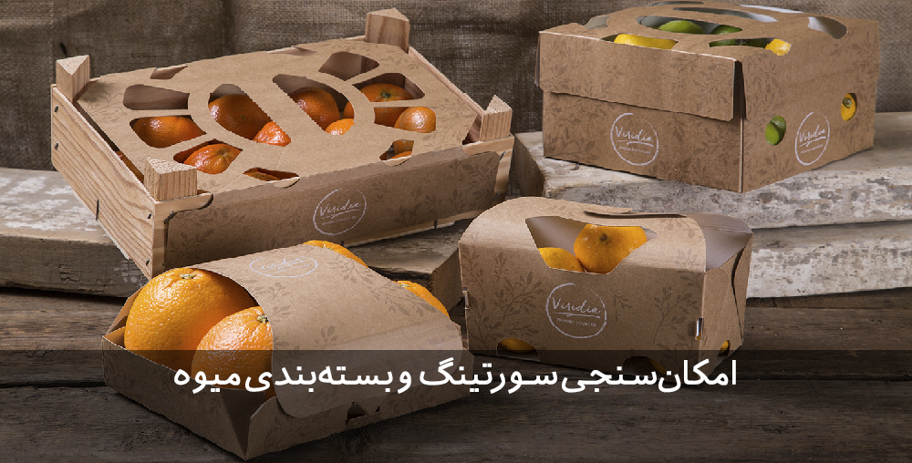 طرح توجیهی سورتینگ