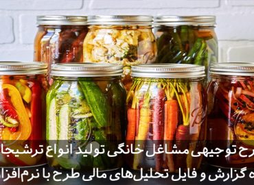 طرح توجیهی ترشیجات