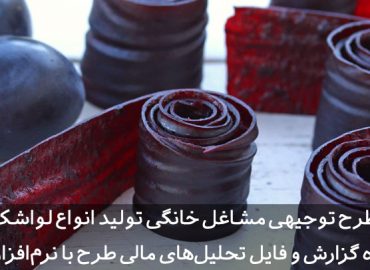 طرح توجیهی لواشک