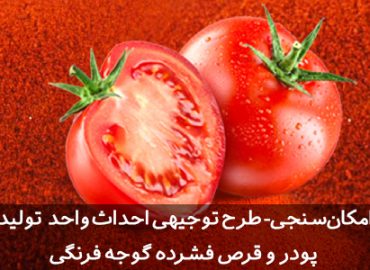 طرح توجیهی پودر گوجه فرنگی طرح توجیهی پودر گوجه فرنگی | قرص فشرده گوجه فرنگی