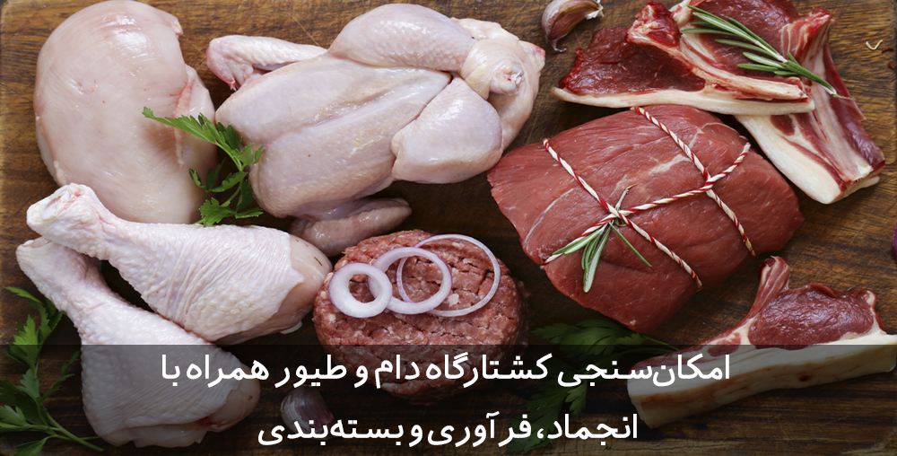 طرح توجیهی کشتارگاه دام و طیور