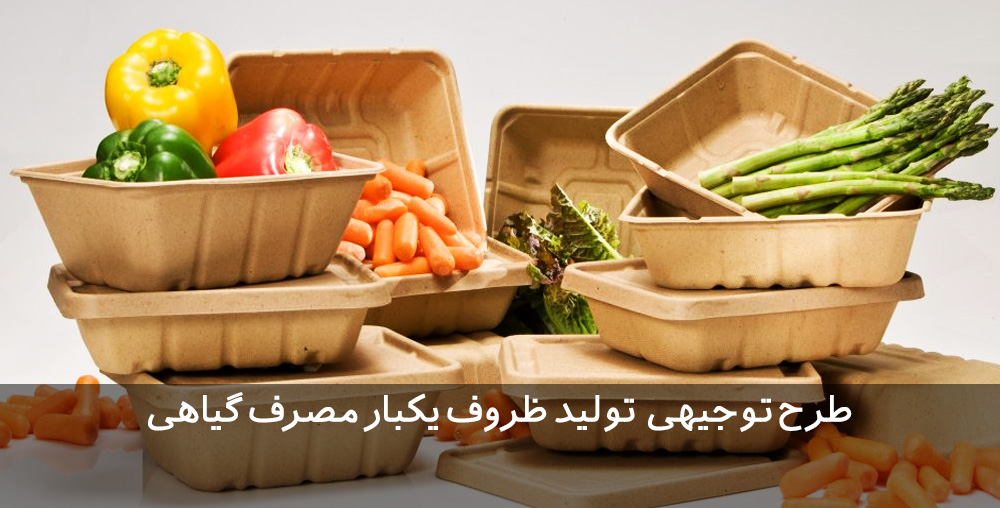 طرح توجیهی ظروف یکبار مصرف گیاهی ظروف یکبار مصرف گیاهی طرح توجیهی ظروف یکبار مصرف گیاهی