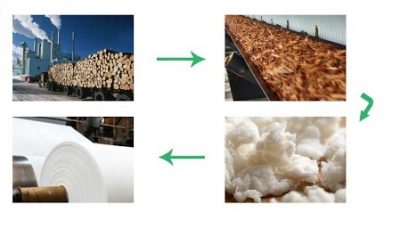 طرح توجیهی مقوا از ضایعات کشاورزی