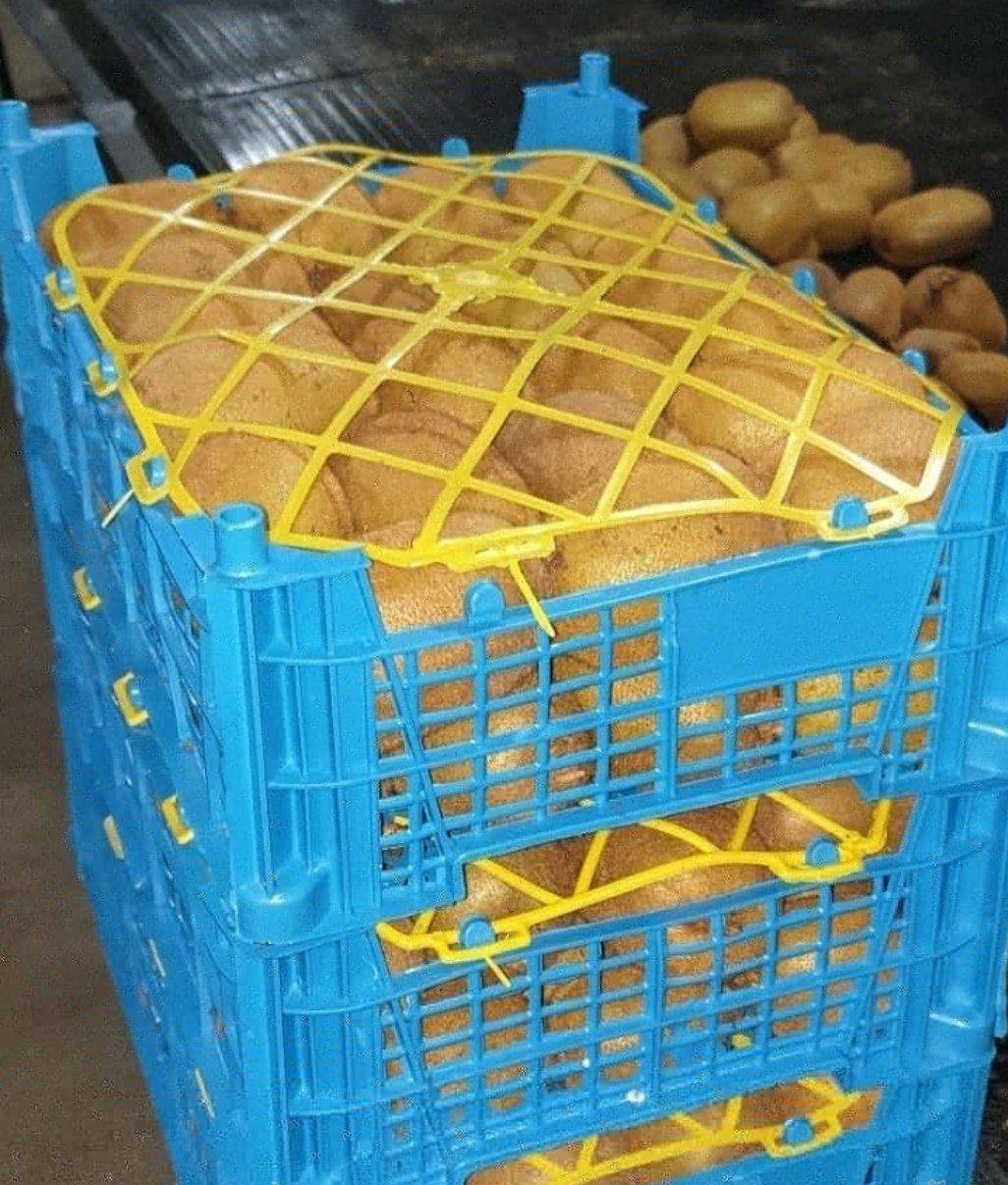 طرح توجیهی کارتن پلاستیکی کارتن پلاستیکی 1 طرح توجیهی کارتن پلاستیکی
