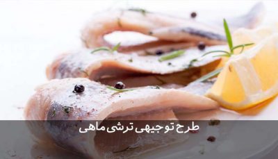 طرح توجیهی ترشی ماهی