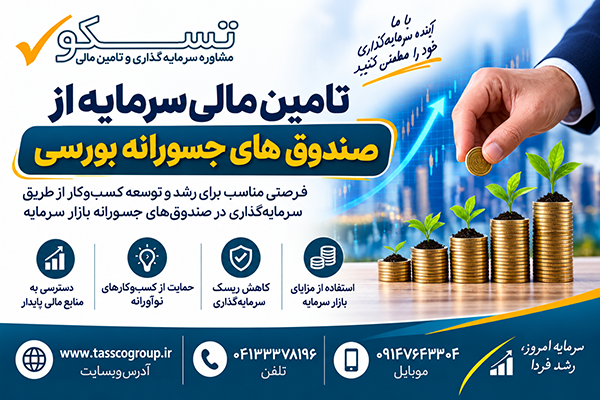 تامین مالی از صندوق های جسورانه